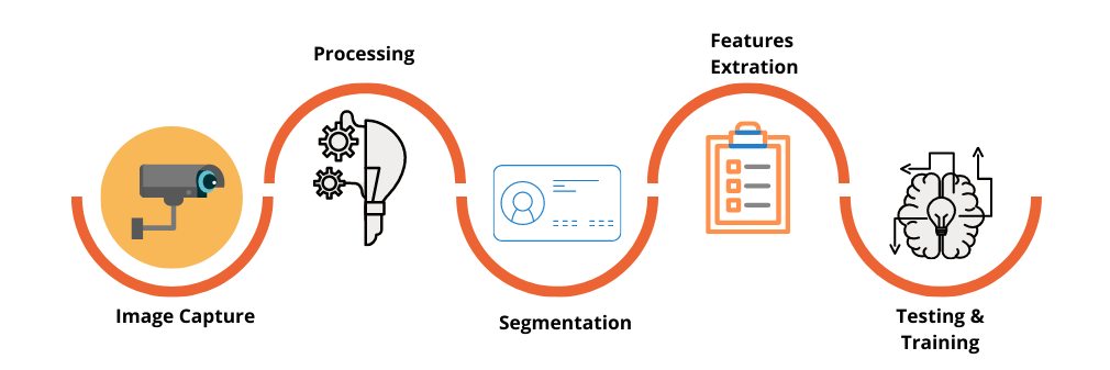 image analysis services